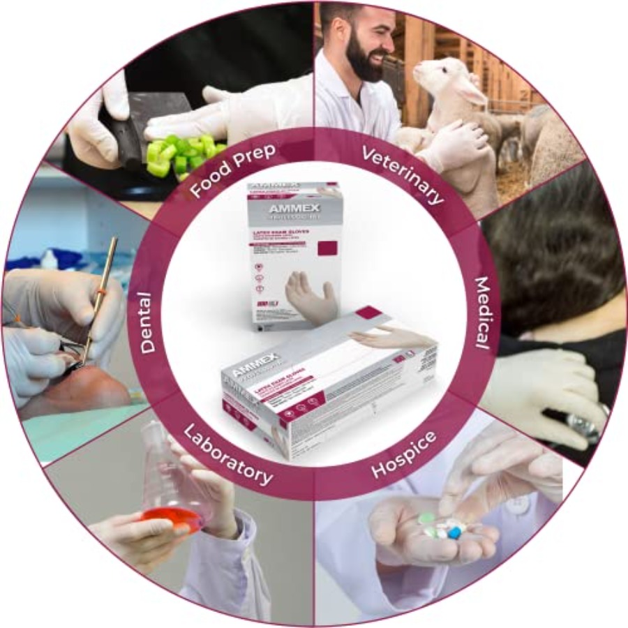 AMMEX White Latex Disposable E - Latex Disposable Glove avaliação e preço